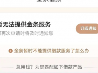 2024年无需审核直接下款的