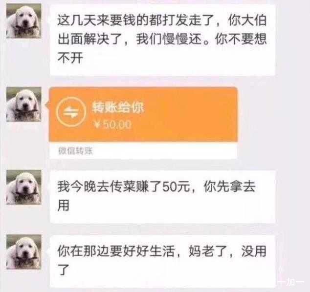 黑户急需2万元贷款，推荐5个可借大额的网贷平台